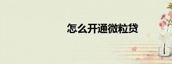 怎么开通微粒贷