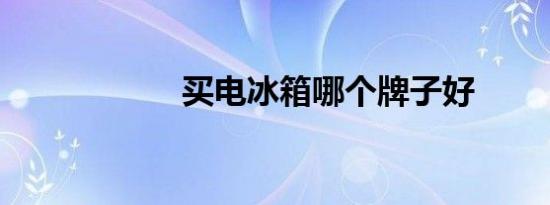 买电冰箱哪个牌子好