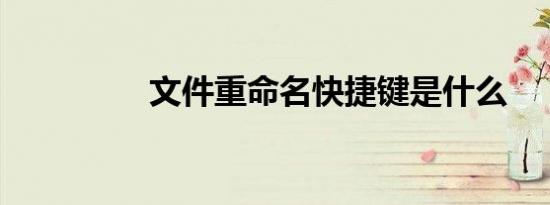 文件重命名快捷键是什么