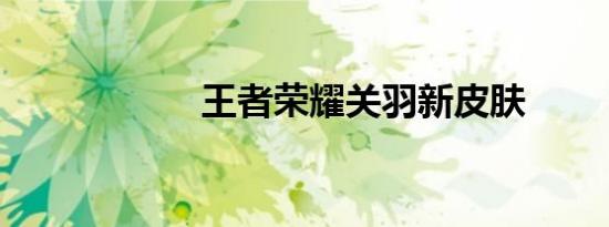 王者荣耀关羽新皮肤
