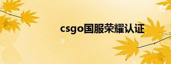csgo国服荣耀认证
