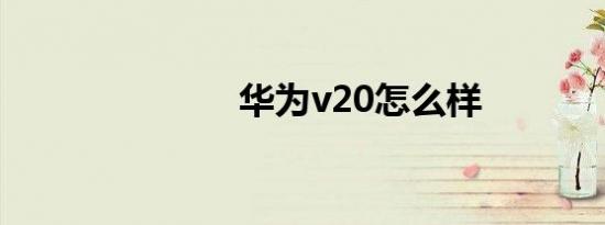 华为v20怎么样