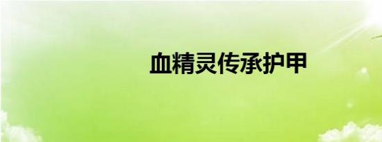 血精灵传承护甲