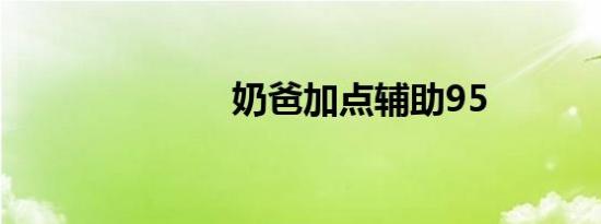奶爸加点辅助95