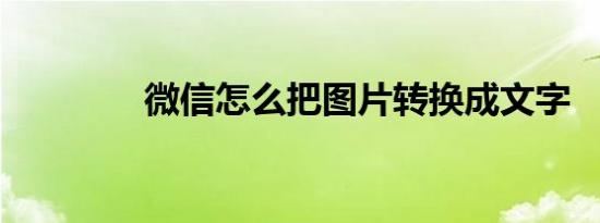 微信怎么把图片转换成文字