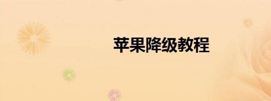 苹果降级教程
