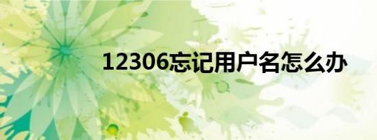 12306忘记用户名怎么办