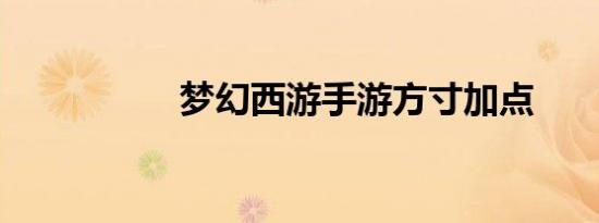 梦幻西游手游方寸加点