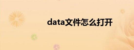 data文件怎么打开