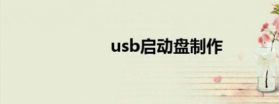 usb启动盘制作