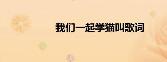 我们一起学猫叫歌词