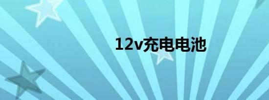 12v充电电池