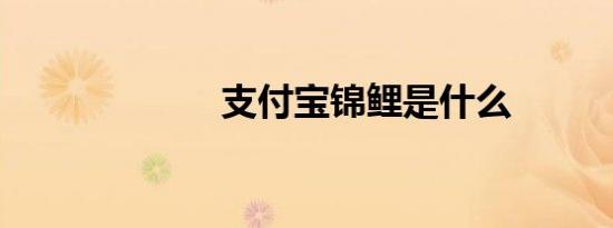 支付宝锦鲤是什么
