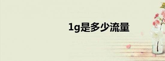 1g是多少流量