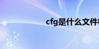 cfg是什么文件格式