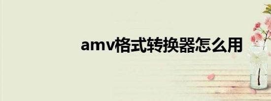 amv格式转换器怎么用