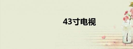 43寸电视
