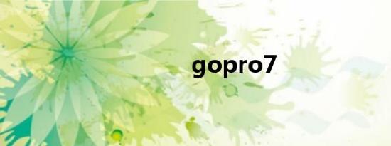 gopro7