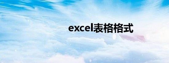 excel表格格式