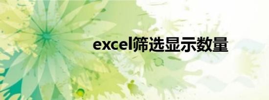 excel筛选显示数量