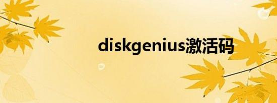 diskgenius激活码