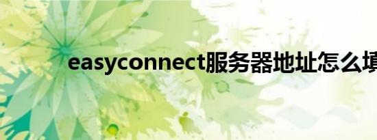 easyconnect服务器地址怎么填