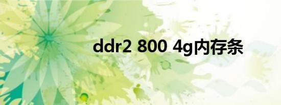 ddr2 800 4g内存条
