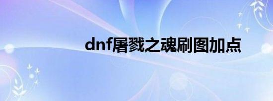 dnf屠戮之魂刷图加点