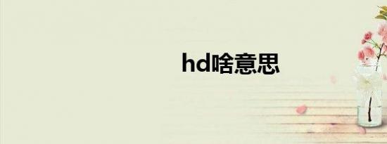 hd啥意思