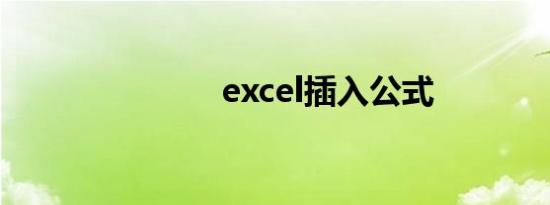 excel插入公式
