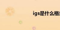 igs是什么格式