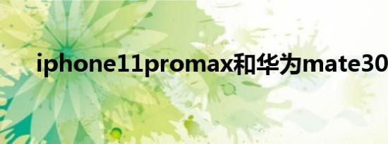 iphone11promax和华为mate30pro