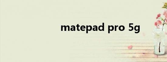 matepad pro 5g