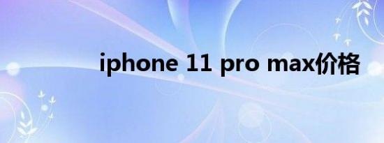 iphone 11 pro max价格