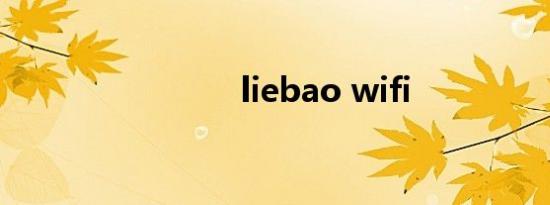 liebao wifi