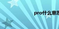 pro什么意思
