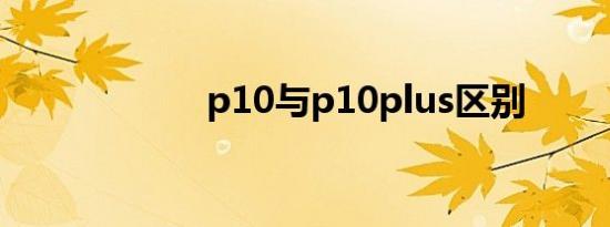 p10与p10plus区别