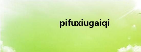 pifuxiugaiqi