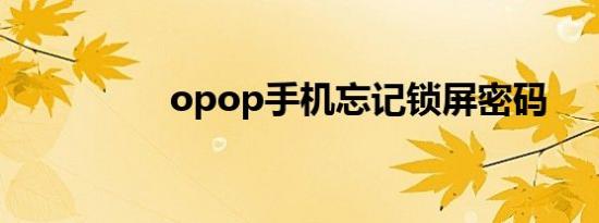 opop手机忘记锁屏密码