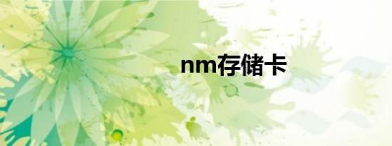 nm存储卡