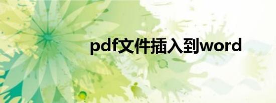 pdf文件插入到word