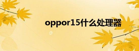oppor15什么处理器