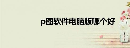 p图软件电脑版哪个好