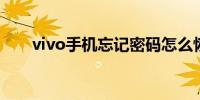 vivo手机忘记密码怎么恢复出厂设置