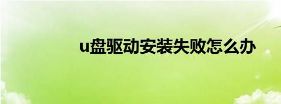 u盘驱动安装失败怎么办