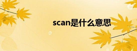 scan是什么意思