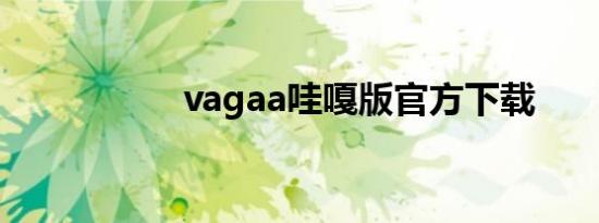 vagaa哇嘎版官方下载