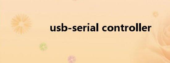 usb-serial controller