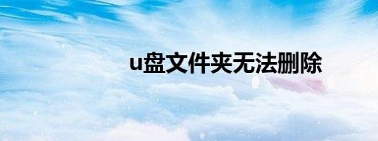 u盘文件夹无法删除