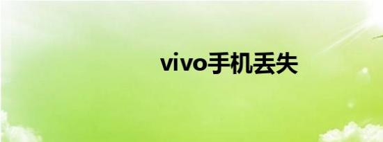 vivo手机丢失